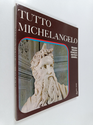 Tutto michelangelo