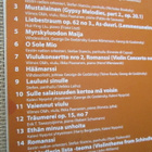 16 Iskelmäaarretta - Sunnuntaikonsertti/Lauluja Lapista 2CD - pikkukuva 4