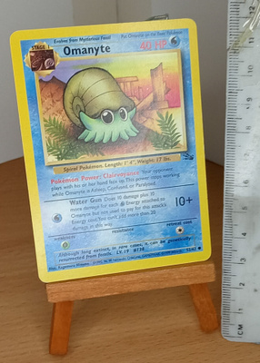 Omanyte 52/62