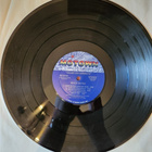 Willie Hutch - Color Her Sunshine Lp (EX+/VG+) - pikkukuva 3