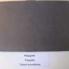 VANHA Postikortti Lieto Kilpijoki 1920-l - pikkukuva 2