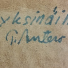 Pauli Antero Rapo "Niin yksinäinen" - pikkukuva 2