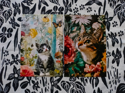 ~Kissa kortti~ 2kpl