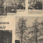 Viikko Sanomat n:o 22 1959 13-vuotta piilossa portaiden alla - pikkukuva 4