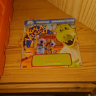 Koala Veljekset DVD leffapokkari - pikkukuva 1