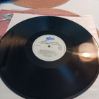 Suicidal Tendencies - Lights, Camera, Revolution LP 1990 - pikkukuva 5