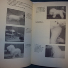E. Jackie Ransom: THE BICHON FRISE (Sis.postikulut) - pikkukuva 5