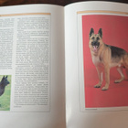 MAAILMAN KOIRA ATLAS KIRJA, paino yli 5KG - pikkukuva 2