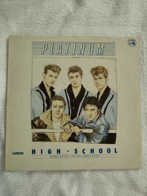 VARIOUS - Platinum High School LP (SHAKIN' STEVENS, JETS) LP