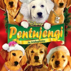 Pentujengi ja Joulupentu dvd Disney - pikkukuva 1