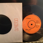 EXPRESS, Anna, Anna, 7'' -72 VIRHEPAINOS !! - pikkukuva 1