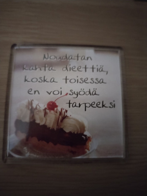 Jääkaappi magneetti.