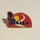 HALLA PINSSI - pikkukuva 1
