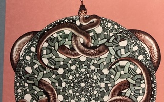 M. C. ESCHERIN: TAIKAPEILI