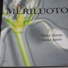Aila Meriluoto - Tämä täyteys, tämä paino - pikkukuva 1