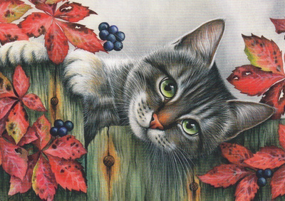 Irina Garmashova: Hello
