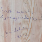 Jari Antila "Sarvijumala syöksylaskussa" - pikkukuva 5