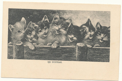 7 SISARUSTA - vanha KISSA-kortti