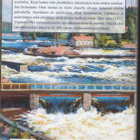 Arto Ahlberg & Seija A. Niemi Koskenrannan kuohuva historia - pikkukuva 2