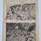 Vita boken om Tysklands koncentrationsläger i Buchenwald ... - pikkukuva 2
