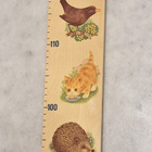Vintage pituusmitta kuin uusi - pikkukuva 2