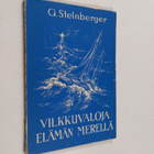 G. Steinberger : Vilkkuvaloja elämän merellä (painovirhek... - pikkukuva 1
