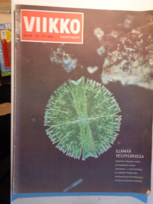 Viikkosanomat Nro 47/1961 (25.10)