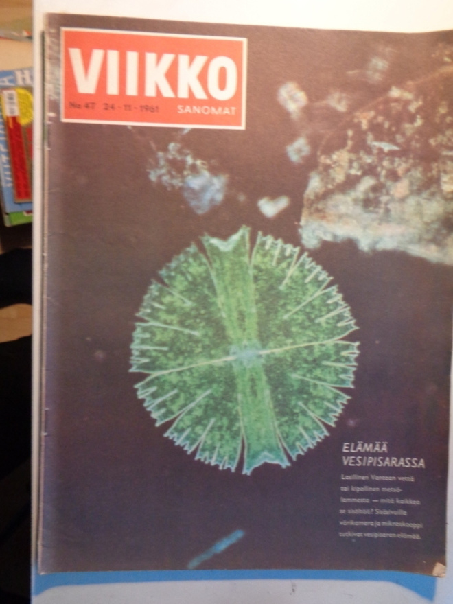 Viikkosanomat Nro 47/1961 (25.10)