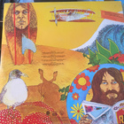 Beach Boys: Endless Summer 2LP + juliste - pikkukuva 2
