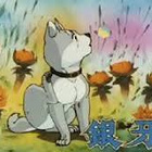 Weed dvd - pikkukuva 5