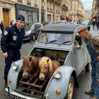Citroen 2CV4 hyväkuntoinen johtosarja - pikkukuva 3