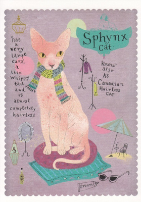 Marianna Sztyma: Sfinx-kissa