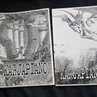 2 x karjapiano - pikkukuva 1
