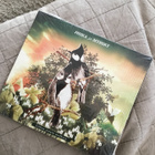 Pihka ja Myrsky . Liikaa jotain melkein CD muoveissa - pikkukuva 1