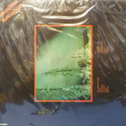 VAAVI - RUUSUINEN TULEVAISUUS - FIN-81 1.PAINOS EX+/VG++ LP - pikkukuva 2