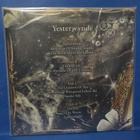 NIGHTWISH - YESTERWYNDE UUSI 2LP - pikkukuva 2