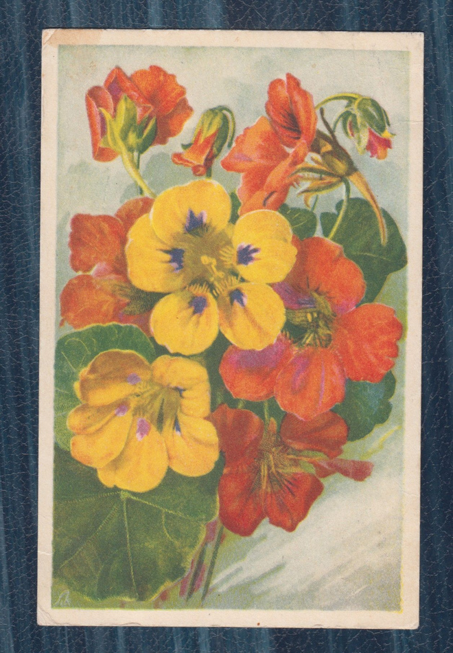 Liisa Kemppainen..Krasseja..kulkenut 1950