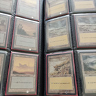 MTG Basic Land korttikansio - pikkukuva 3