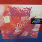 GHOST BATH - ROSE THORN NECKLACE UUSI U.S 2025 LP - pikkukuva 1