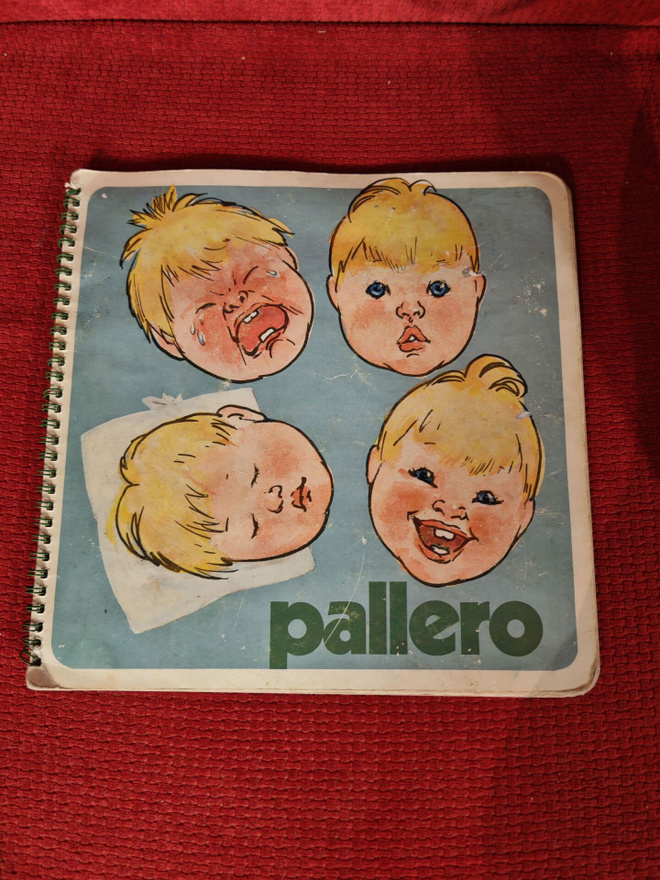 Pallero kirja