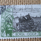 CCCP 1961: maatalouden saavutuksia - pikkukuva 3