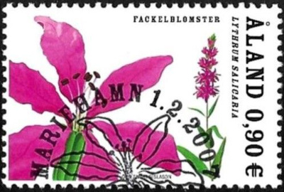 Åland 2007 Rantakukkia 0,90 € EP alareuna LOISTO LaPe 274