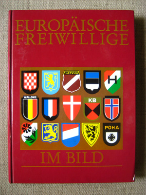 Europäische Freiwillige im Bild