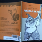 Joakim Pirinen: Sokeri-Sakari (kirjastopoisto) - pikkukuva 3