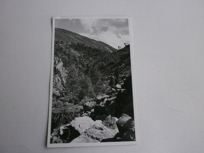 Pyhätunturi, vanha mv valokuvakortti (U. Lappi), p. 1960