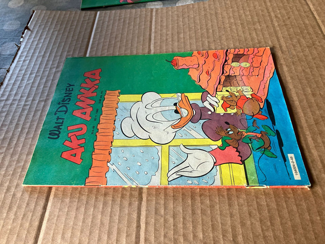 AKU ANKKA 48/1980 HYVÄ