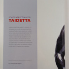 Kokoelma kotimaista taidetta - pikkukuva 2