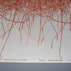 Tampella - Gras kangas / verho - Barbara Brenner - pikkukuva 3