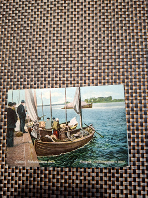 Z11 Vaasa Silakankalastajat