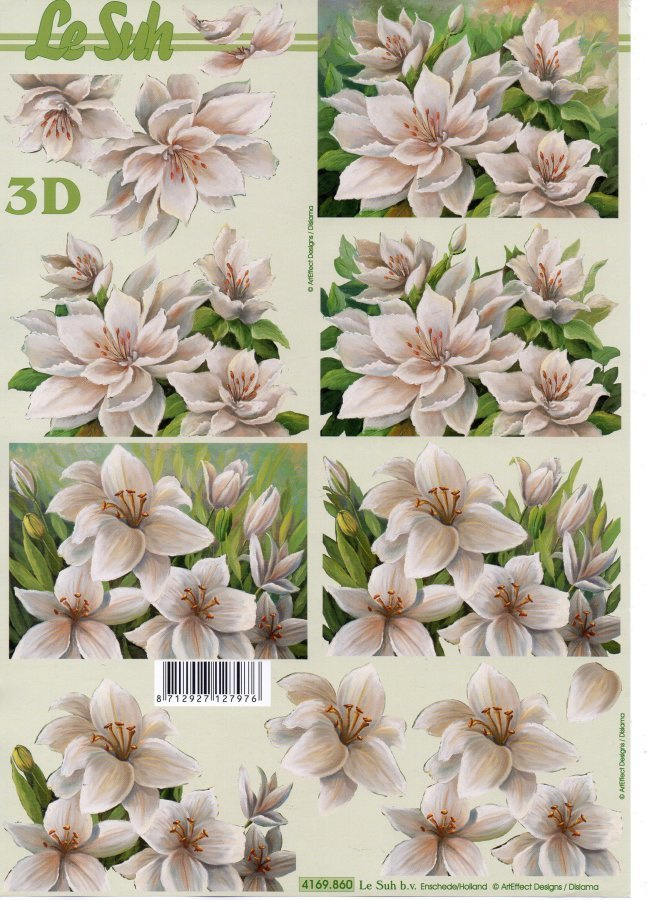 3D °"HIENOT VAALEASÄVYISET KUKAT°" / Le Suh